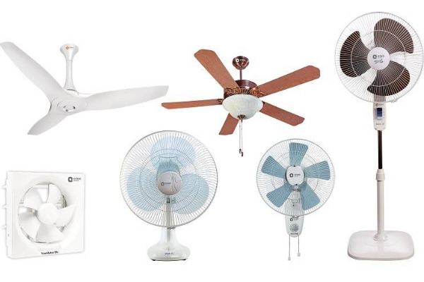 Fans 